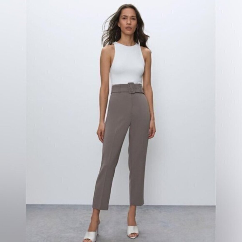 Aritzia Babaton Atelier Walker Pant (c)